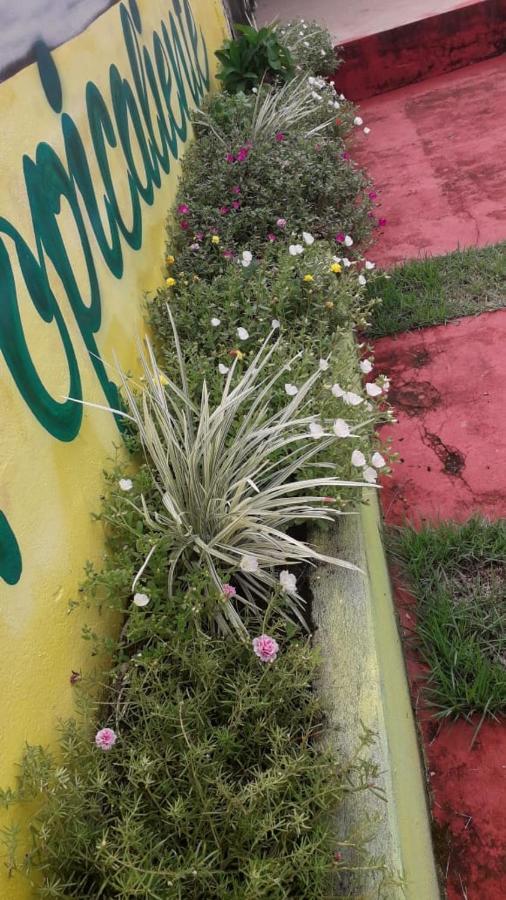 Pousada Tropicaliente Alter do Chão Esterno foto